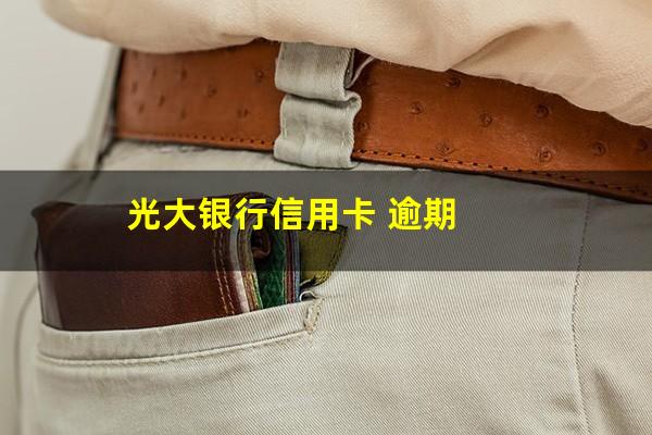 ?光大银行信用卡 逾期?